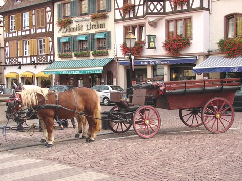 Obernai - Place du marché - Photo Bertheville - Gite en Alsace